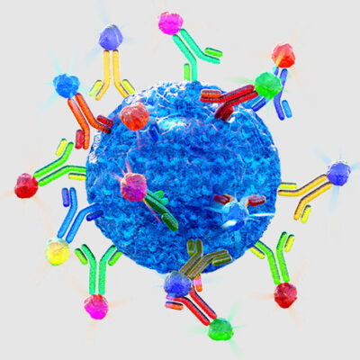 immunoassay-development_480x480-png-480×480--05-15-2026_11_34_PM