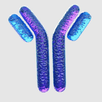 ivd-raw-materials-antibody-v2_480x480-png-480×480--05-15-2026_11_34_PM (1)